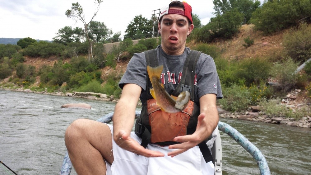 20 фотографий, сделанных за секунду до неизбежного 