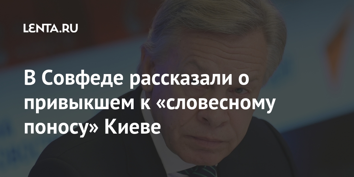 В Совфеде рассказали о привыкшем к «словесному поносу» Киеве Россия