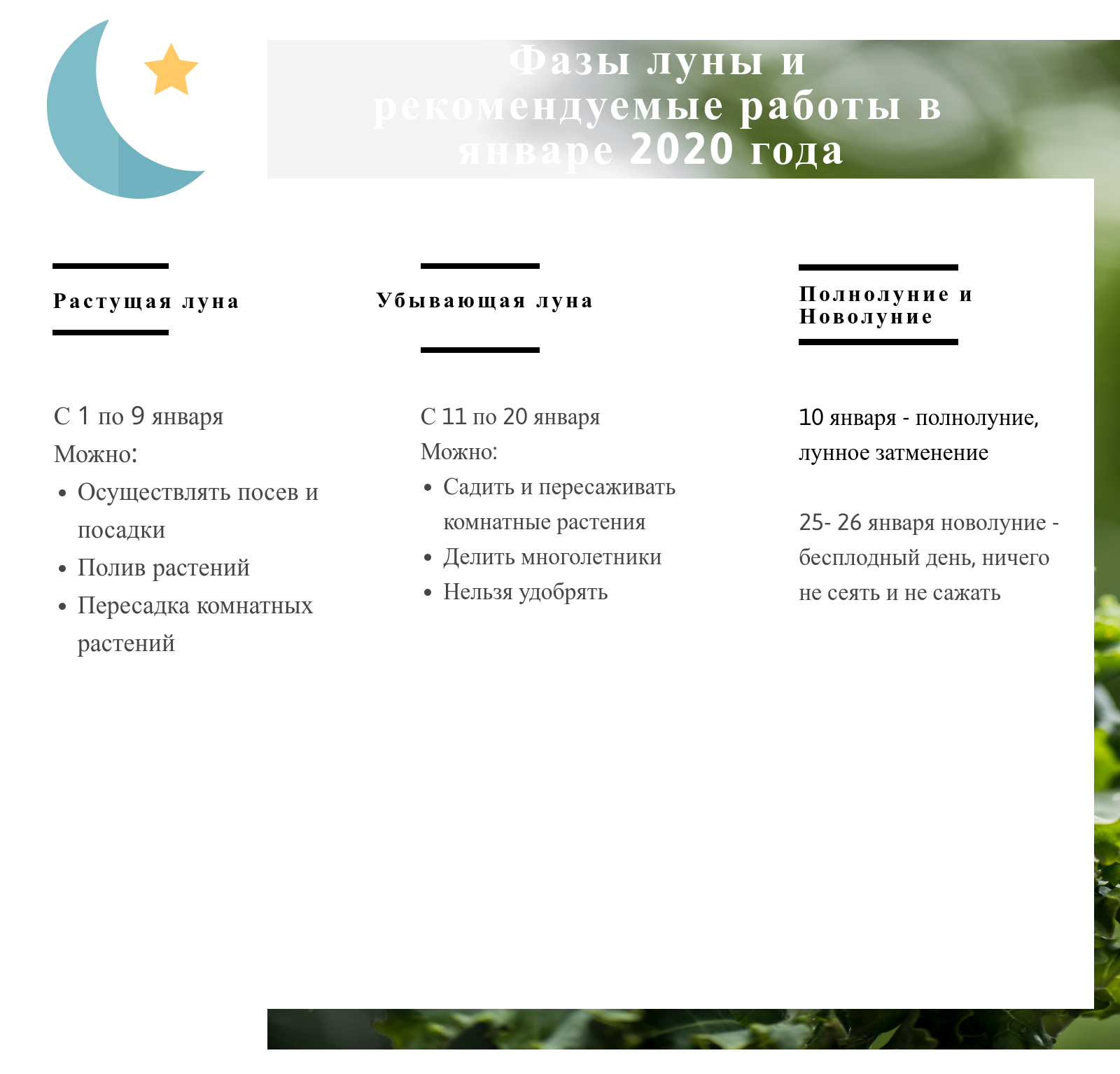 Лунный календарь огородника на январь 2020 года лунный, января, деньБлагоприятный, работы, семян, деньМожно, растениями, ЧтЛуна, ПтЛуна, комнатные, растений, растения, ВсЛуна, СбЛуна, ВтЛуна, ПнЛуна, комнатных, СрЛуна, ОвнеРастущая, провести