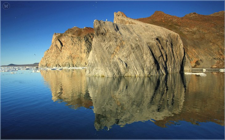 Почему США считают остров Врангеля своей территорией  