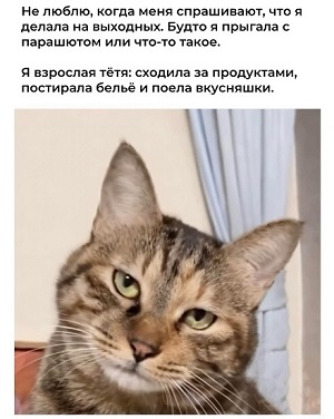 Тяжело быть руководителем среднего звена: и выше тебя придурки, и ниже тебя придурки. точно, знаете, развалилась, решим, любую, задачу, бананы, Говорят, огурцы, заявил, вместе, сообщают, когда, власти, новый, оружие, просто, введем, необходимых, который