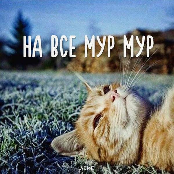 Давайте улыбаться вместе :) Давайте улыбаться вместе :)