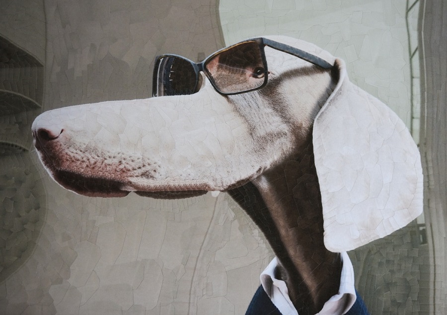 Странный Чарли и другие: новые коллажи Дюпре 