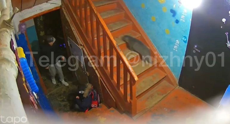 Органы опеки заберут детей у матери избившей своего сына в Володарском районе