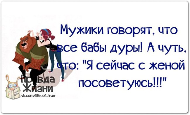 Прикольные высказывания о жизни с юмором в картинках, дельфинчиками