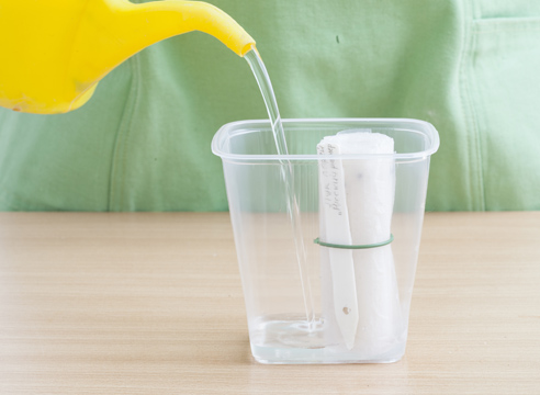 А вам знаком метод посева рассады по-московски? А вам знаком метод посева рассады по-московски? советы