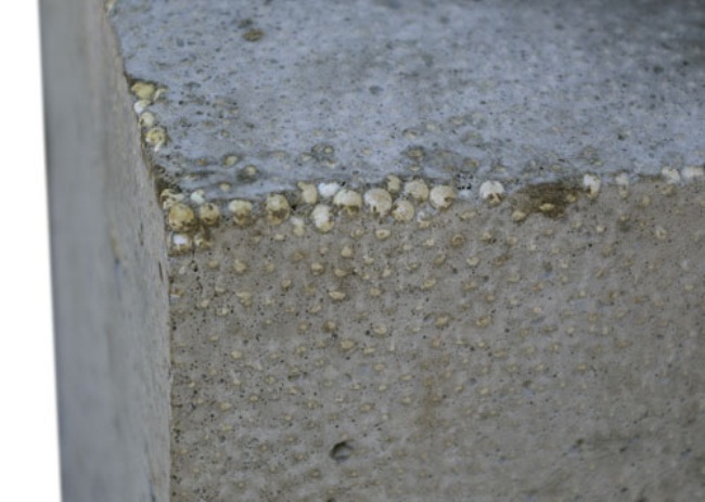 polistirolbeton.jpg