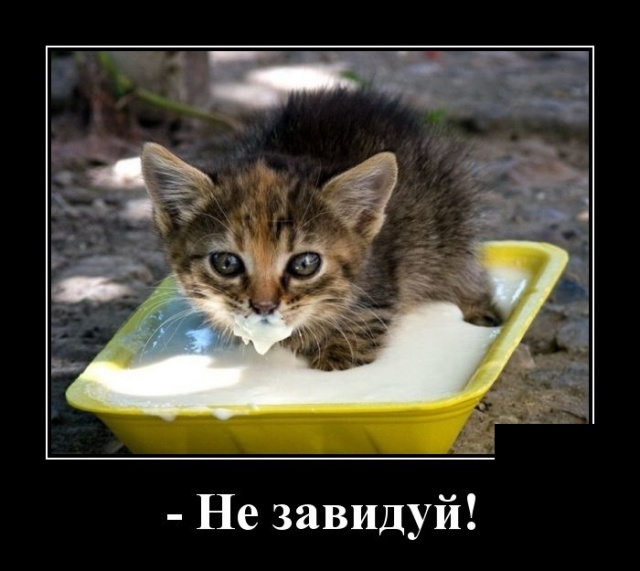 Самые новые демотиваторы Самые новые демотиваторы демотиваторы