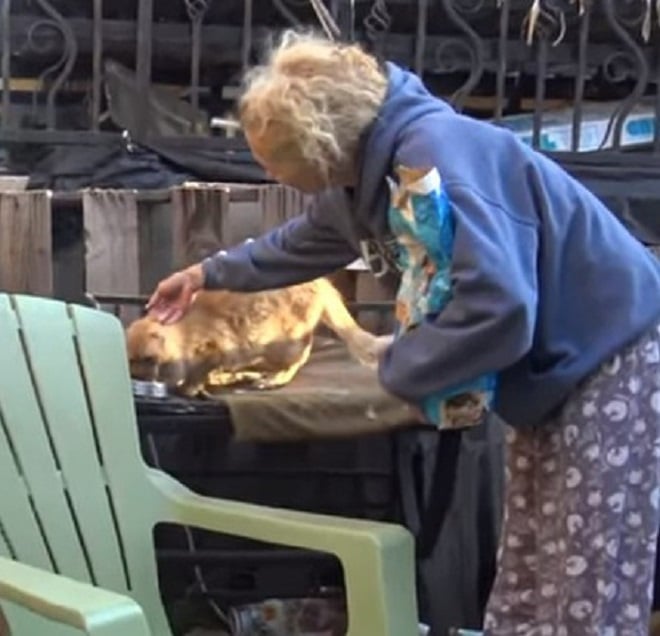 Женщина и кот