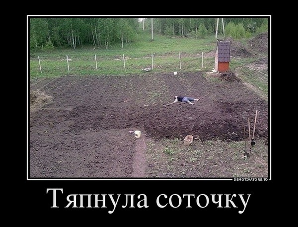 Зачетные, смешные и веселые демотиваторы на вечер позитивные демотиваторы