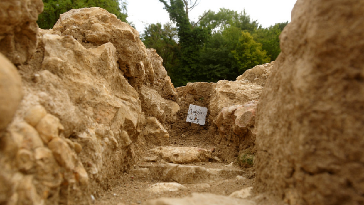 Следы орудующих в древности грабителей курганов обнаружили при раскопках в Туве
