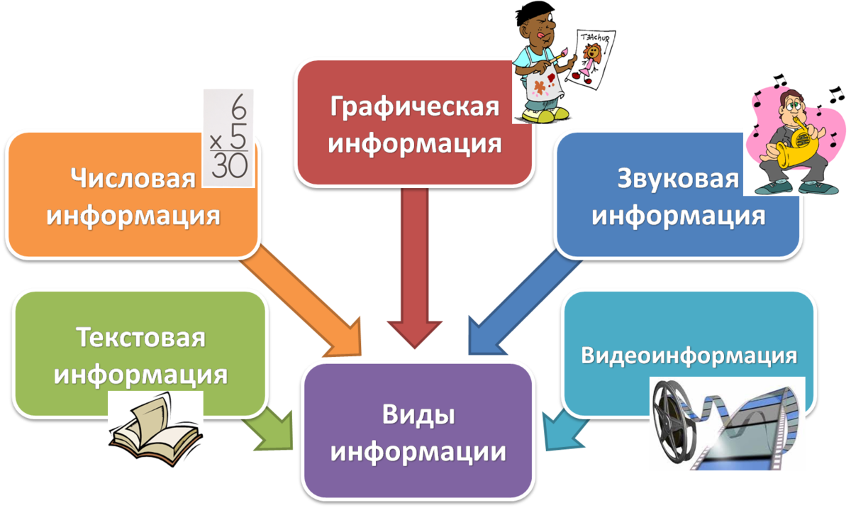 Виды информации. Фото из открытых источников