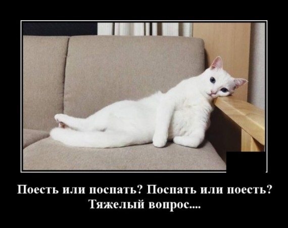 Самые классные демотиваторы