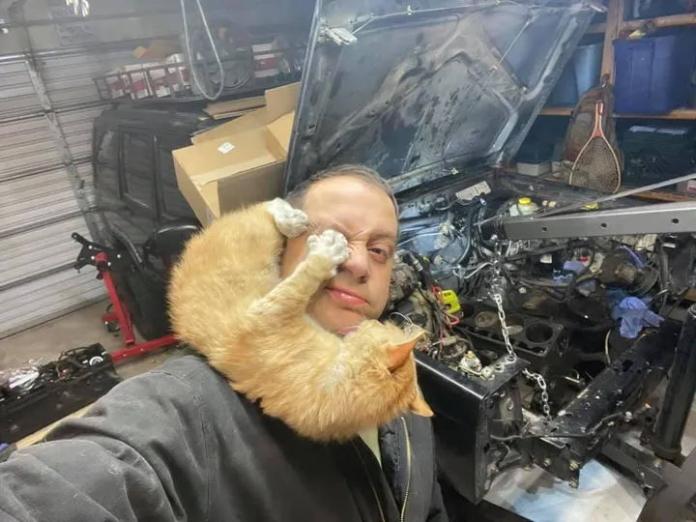 Без кота и жизнь не та