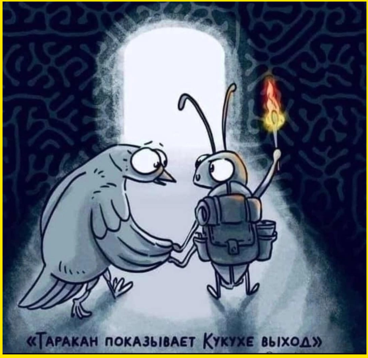 Я не умная, я опытная. Была бы умной — не была бы такой опытной 