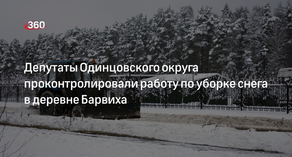 Депутаты Одинцовского округа проконтролировали работу по уборке снега в деревне Барвиха