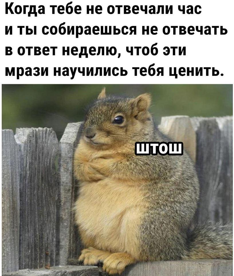 Лучшие приколы дня, картинки с надписями, смех до слез Лучшие приколы дня, картинки с надписями, смех до слез