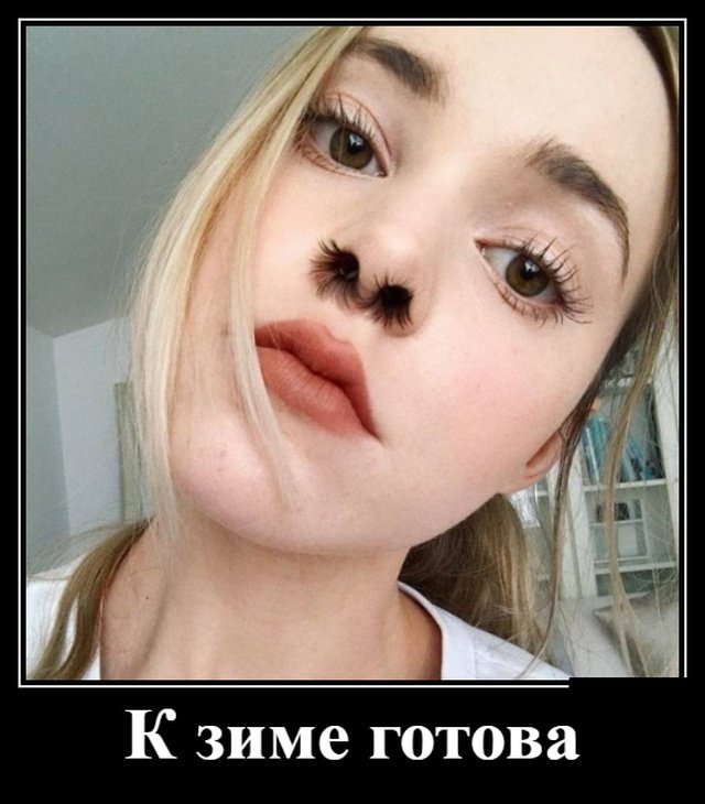 Смешные позитивные демотиваторы обо всем на свете для хорошего настроения