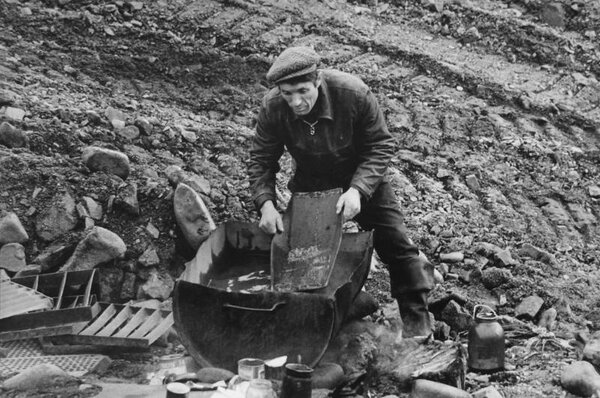 Откуда появились бичи в СССР? Откуда появились бичи в СССР?