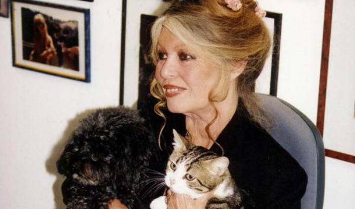 Брижит Бардо – 85: Две жизни одной из самых красивых и непредсказуемых актрис Брижит Бардо – 85: Две жизни одной из самых красивых и непредсказуемых актрис актрисы,Брижит Бардо,знаменитости,мода и красота,стиль жизни