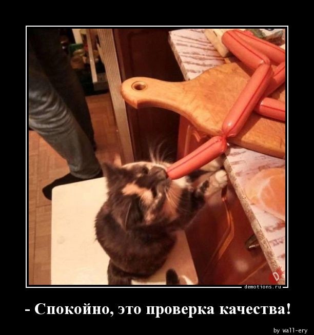 Прикольные демотиваторы для всех: «Пятница близко!» Прикольные демотиваторы для всех: «Пятница близко!»