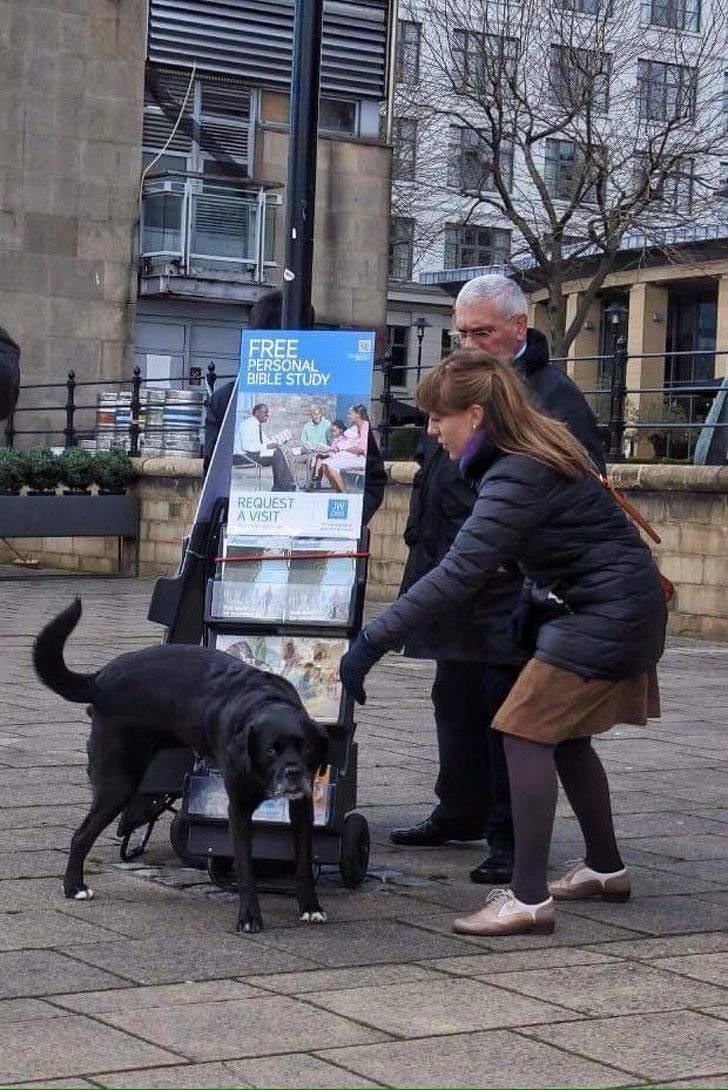 25 смешных случаев, когда люди попали в неловкие ситуации, и узнали, что такое стыд 25 смешных случаев, когда люди попали в неловкие ситуации, и узнали, что такое стыд