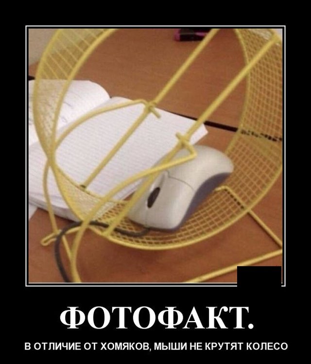 Смешные позитивные демотиваторы обо всем на свете 