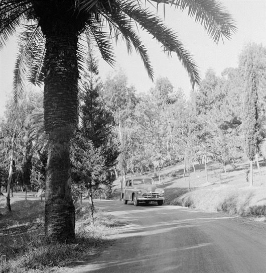 Советский Сухуми 1950-х годов Советский Сухуми 1950-х годов