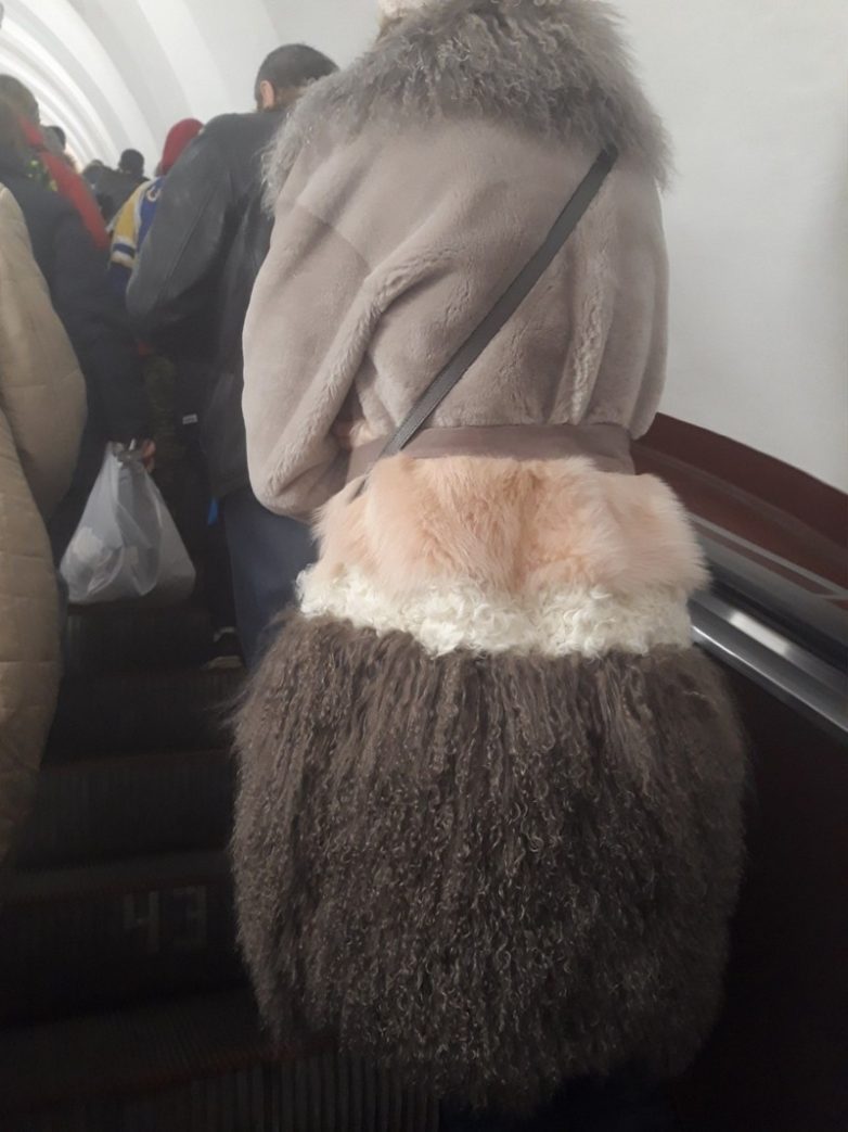 Во дают! Когда-нибудь видели подобное? позитив,смешные картинки,юмор