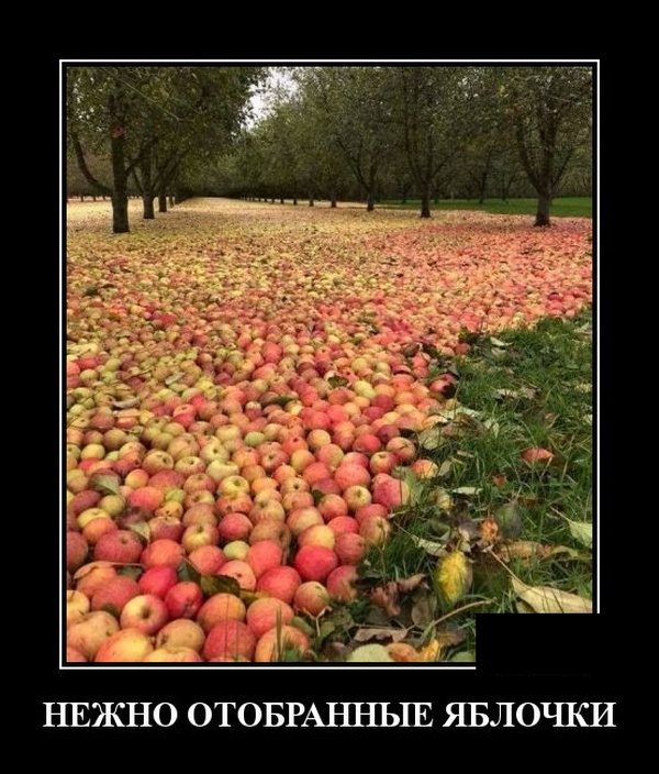 Самые забавные демотиваторы Самые забавные демотиваторы