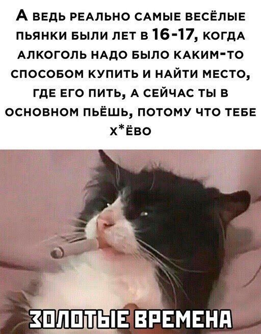Шутки и мемы про алкоголь после прошедших выходных  позитив,смешные картинки,юмор