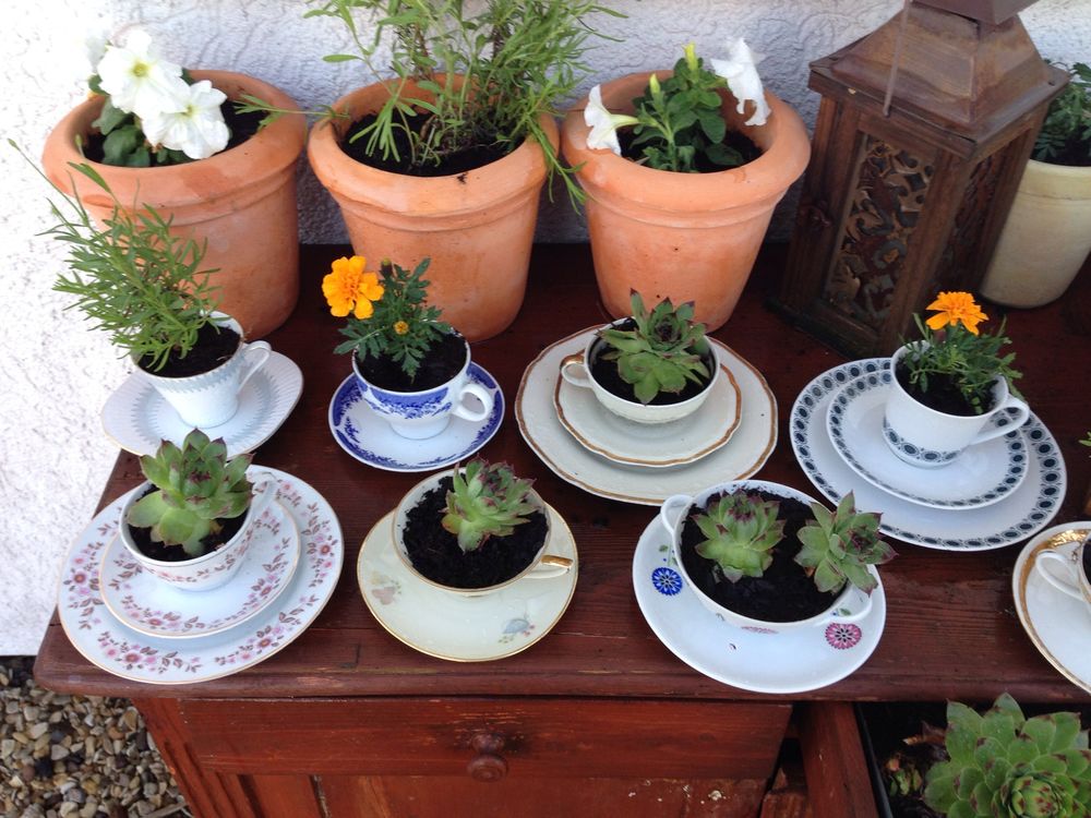 Продлеваем жизнь старой любимой посуды: идеи для посадки садовых растений посуда, можно, будет, растения, просто, сделать, рисунок, композиции, имеет, дренаж, нужен, ёмкость, посуды, возможно, поэтому, цветов, отверстия, использовать, кухонная, предметы