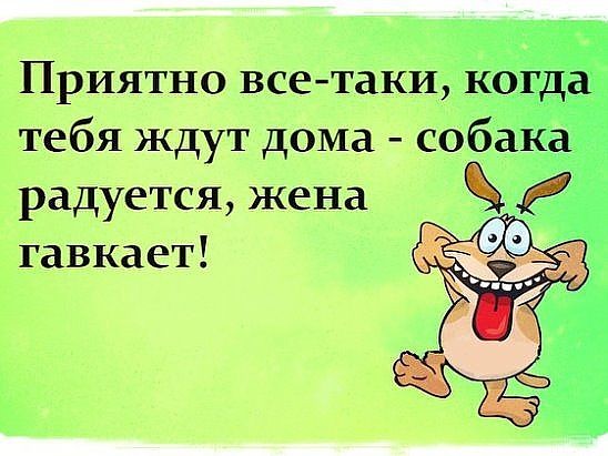 На корпоративе метеорологов было от 8 до 10 гостей. Местами 12... На корпоративе метеорологов было от 8 до 10 гостей. Местами 12... весёлые