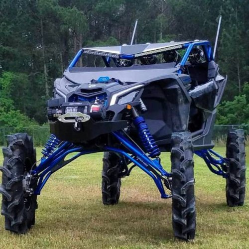 Хочу, хочу, хочу! (31 фото)