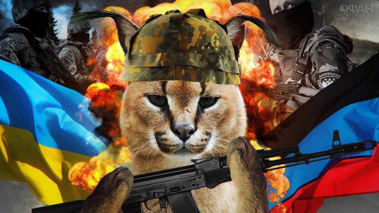 Уничтожение всего русского: политолог Кот о целях Запада на Украине Уничтожение всего русского: политолог Кот о целях Запада на Украине Политика