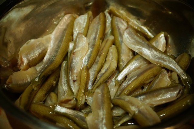 Огурец корюшка семена. Корюшка беломорская. Огурец корюшка семена. Огурец корюшка семена алтая. Писуч рыба.