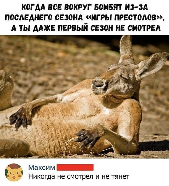 Смешные картинки с надписями 