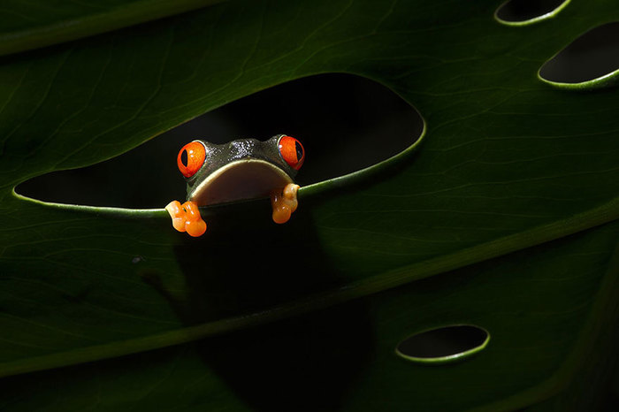 30 удивительных фотографий, которые заставят вас разинуть рот! 30 удивительных фотографий, которые заставят вас разинуть рот!