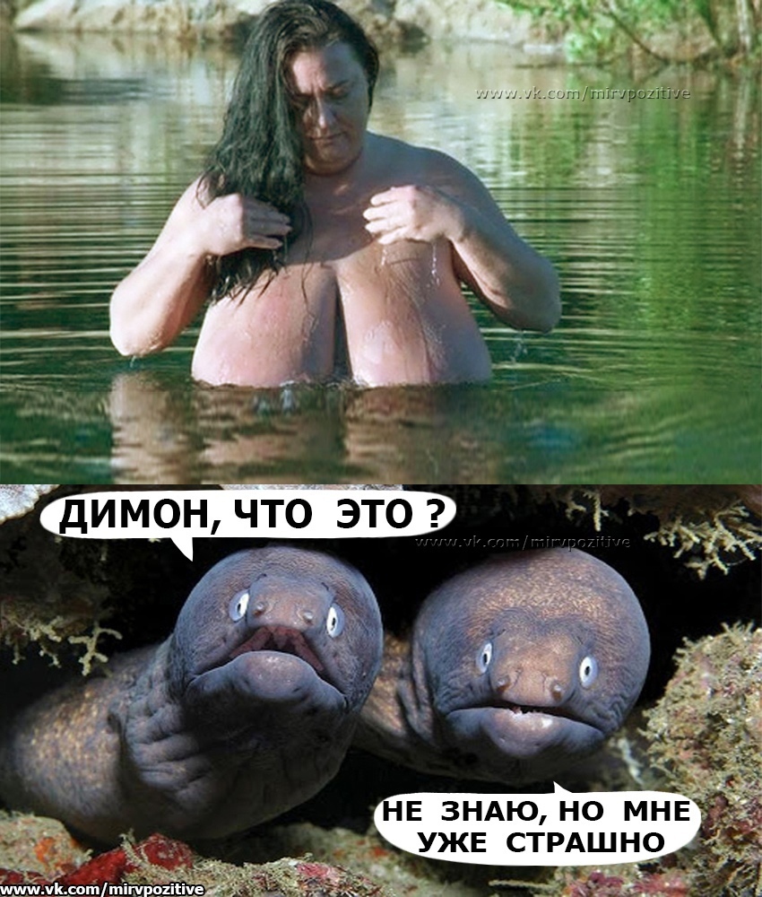 Подборка задорного юмора и искрометных анекдотов Подборка задорного юмора и искрометных анекдотов