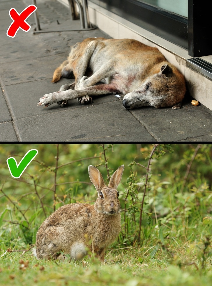 7 доказательств того, что нет такой глобальной проблемы, которую невозможно решить