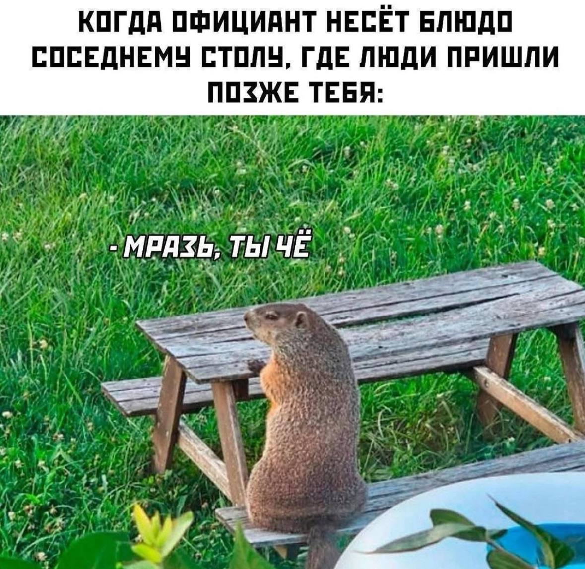 Юмор за день и раздвоение личности 