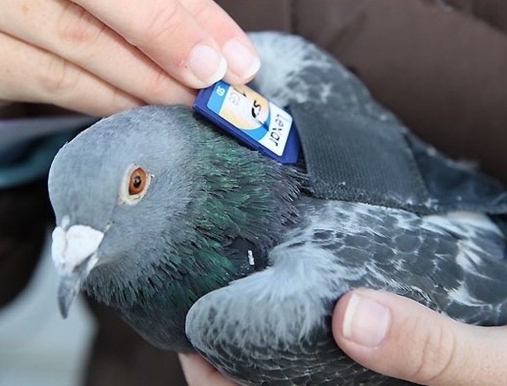 12 событий в истории, которые выглядят слишком странно, чтобы быть правдой 12 событий в истории, которые выглядят слишком странно, чтобы быть правдой доказательства