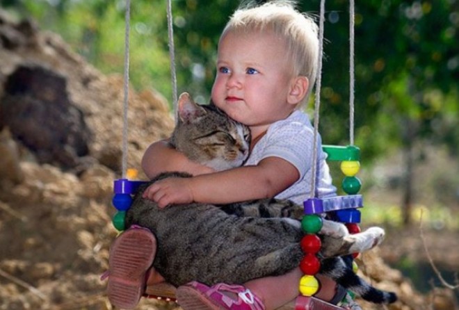 Кошки - лучшие друзья :-)