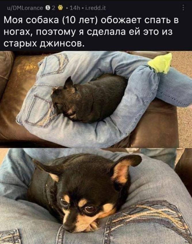Лучшие приколы дня, картинки с надписями, смех до слез Лучшие приколы дня, картинки с надписями, смех до слез