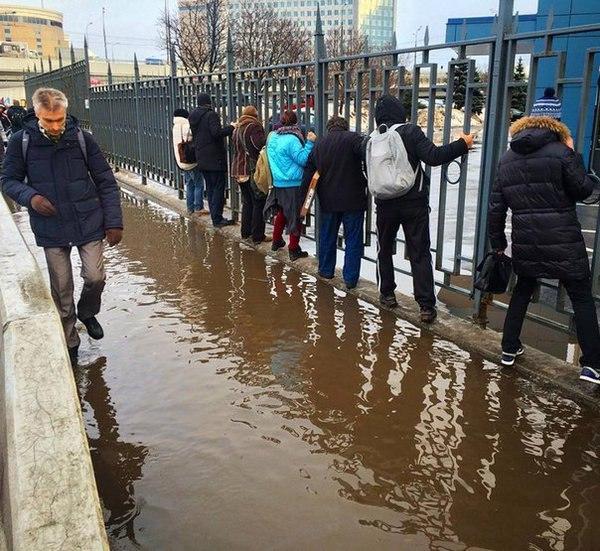 Очень смешные картинки для вашего отдыха картинки