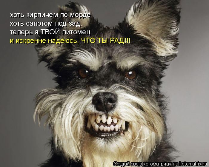 Мысли вслух :)