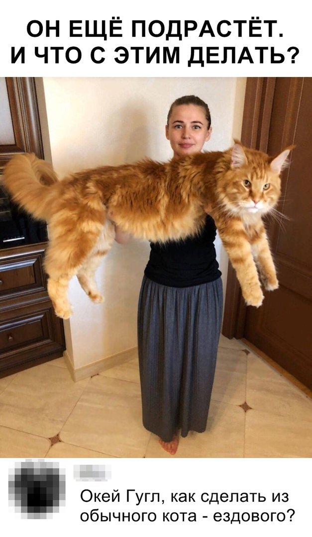 Смешные комментарии и смс 