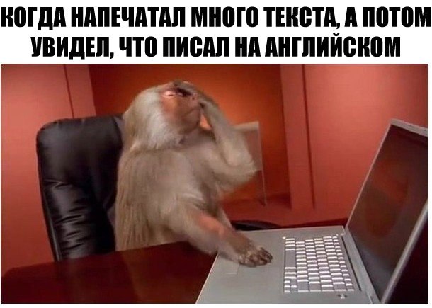 Веселые картинки и фотографии с надписью со смыслом (12 фото)