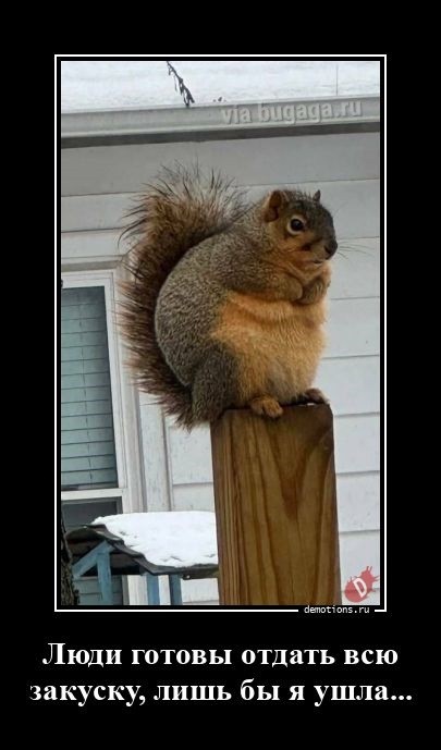 Новая подборка прикольных демотиваторов для ценителей чёрненького юмора! 