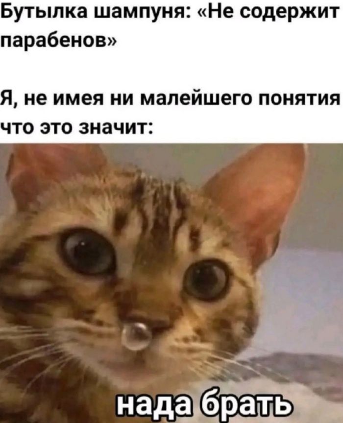 Отдых — это когда устаёшь в красивом новом месте 